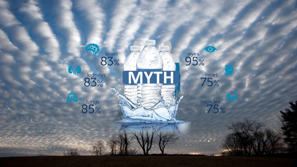 Sports Drinks Vs Water Hydration myth