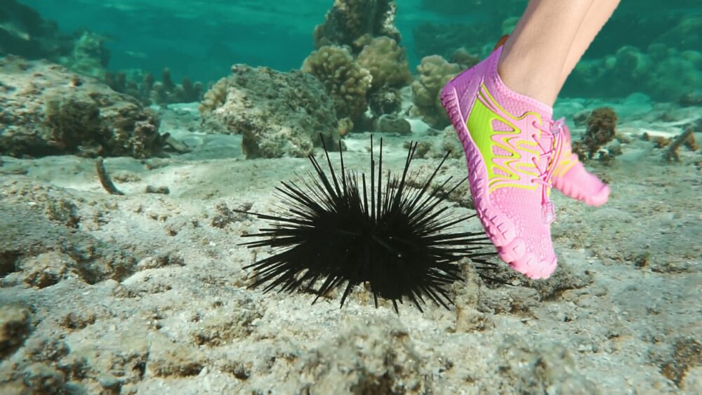 Do Water Shoes Protect Against Sea Urchins