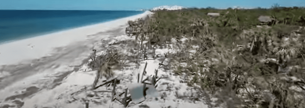 Why Is Barefoot Beach Closed