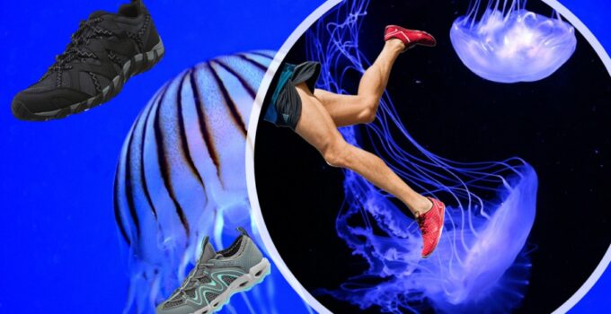 Do Water Shoes Protect From Jellyfish
