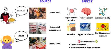 What Is BPA Free Water Bottles