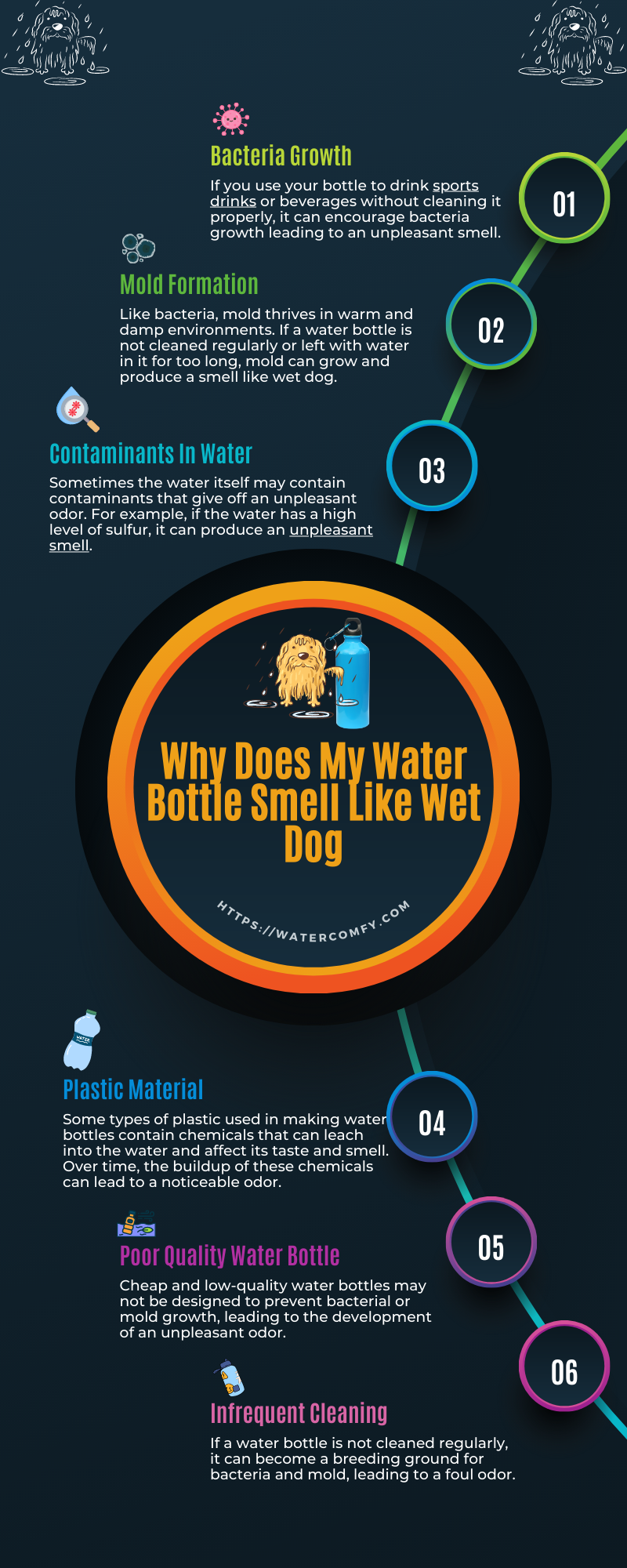 Why Does My Water Bottle Smell Like Wet Dog