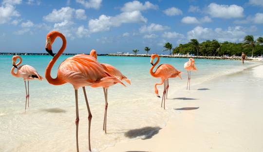 Aruba