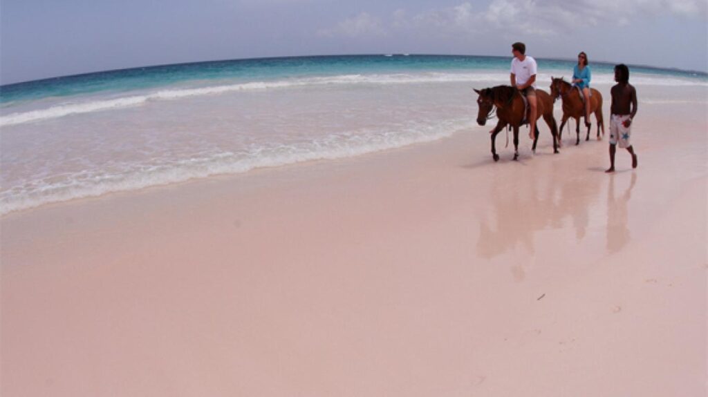 Harbour Island’s pink sand beach