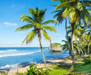 Why Beaches Are Important