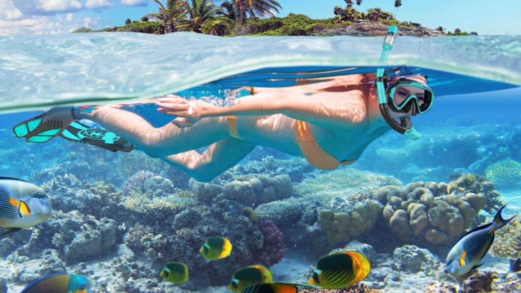 Best Snorkeling Gear Sets