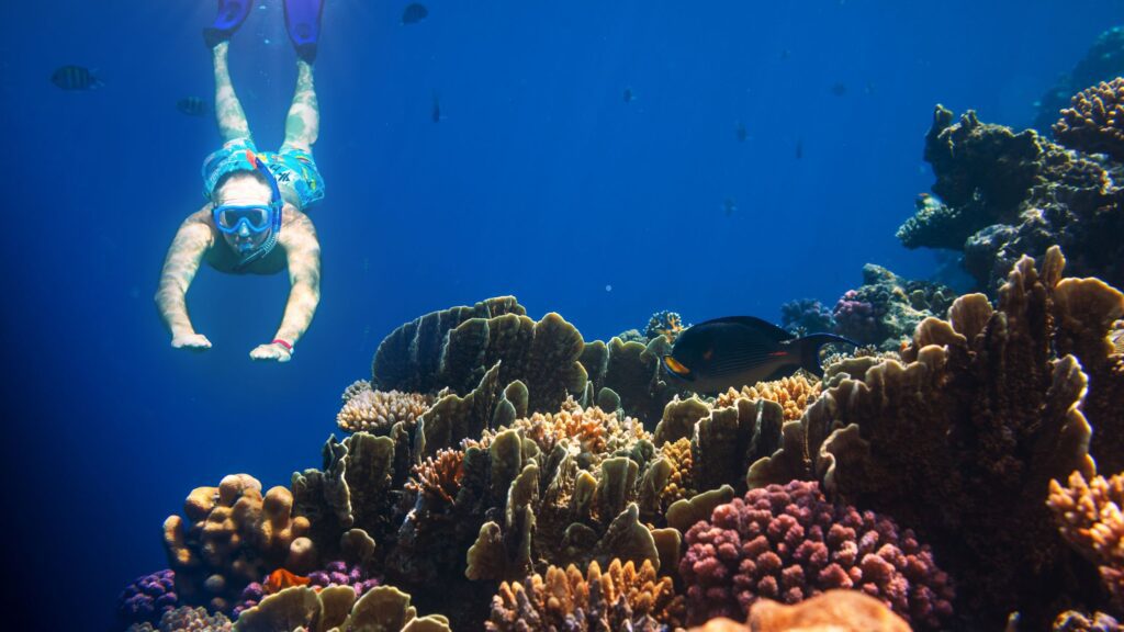 Can You Breathe Underwater With A Snorkel