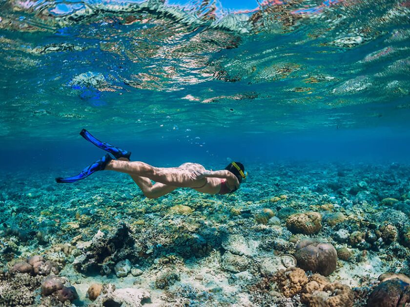 Electric Beach Where to snorkel in Oahu 