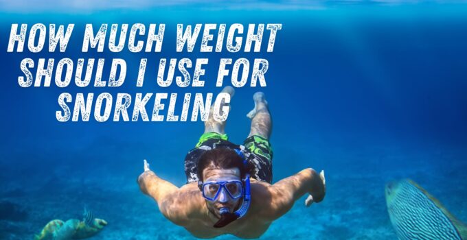 How Much Weight Should I Use for Snorkeling