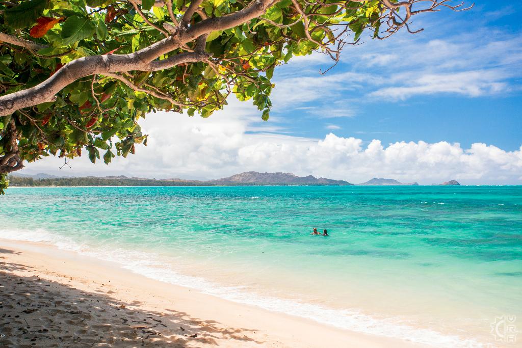 Where To Snorkel In Oahu Without Regret Kaiona Beach Park – The Hidden Gem for Solitude and Sea Life