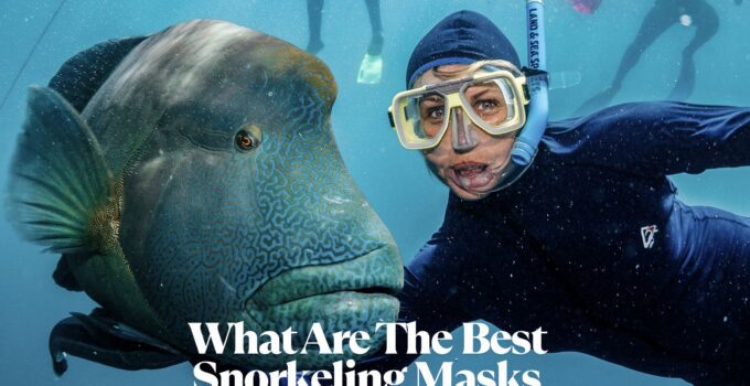 What Are The Best Snorkeling Masks