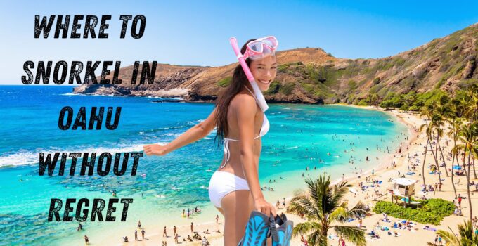 Where To Snorkel In Oahu Without Regret