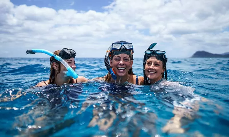 scuba diving vs snorkeling