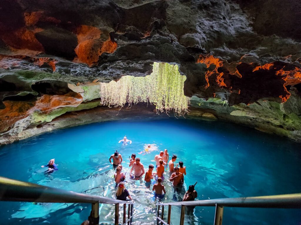 Devil’s Den Prehistoric Spring