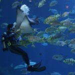 Is Scuba Diving Dangerous - Know Your Limit Is Scuba Diving Dangerous