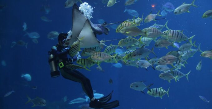 Is Scuba Diving Dangerous
