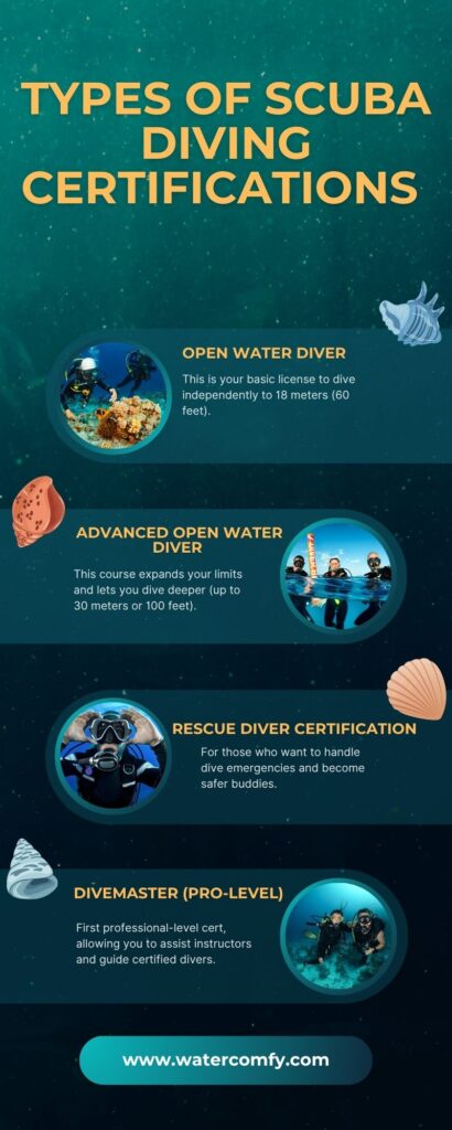 Types of Scuba Diving Certifications (and Their Costs) how much scuba diving certification