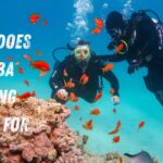 What Does Scuba Diving Stand For