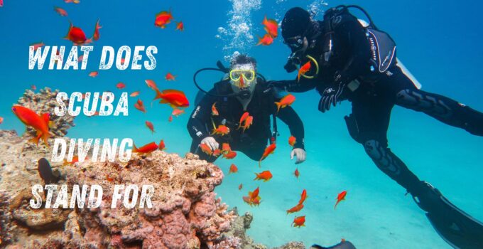 What Does Scuba Diving Stand For