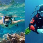 scuba diving vs snorkeling