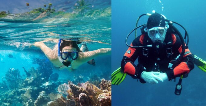 scuba diving vs snorkeling