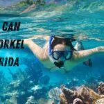 where can you snorkel in Florida