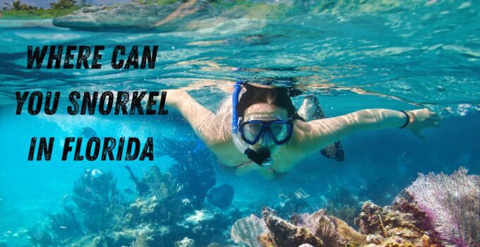 where can you snorkel in Florida