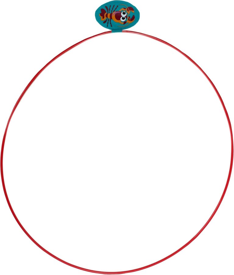 10 Best Diving Rings For Swimming Pools - Water Comfort
