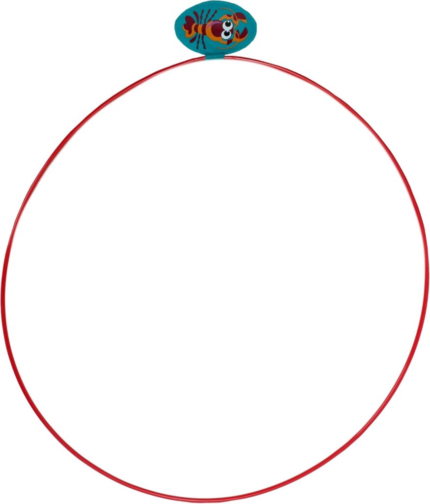 Best Diving Rings for Swimming Pools