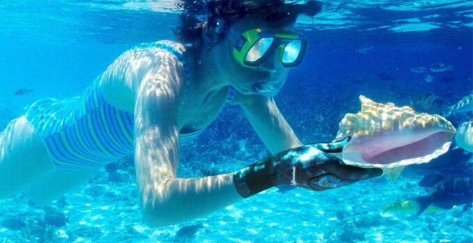 best diving gloves